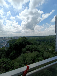 Eco Sanctuary (D23), Condominium #432659121